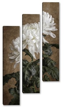Модульная картина Белая хризантема