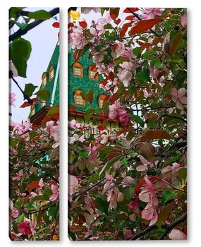  Сирень