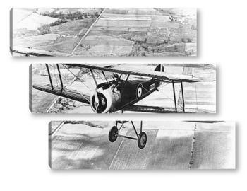 Модульная картина Сопвич F-1<Camel>-в полете.Первая Мировая война.