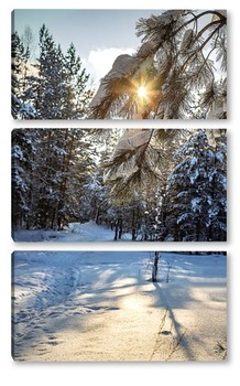Модульная картина Солнечный ,зимний день в лесу.