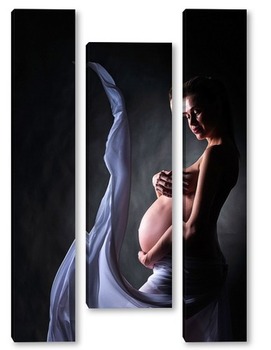 Модульная картина Молодая беременность