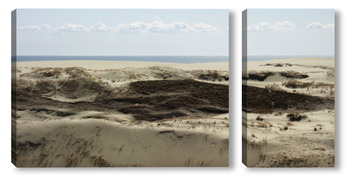 Модульная картина В дюнах