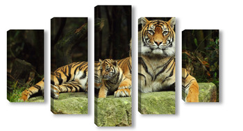 Модульная картина Тигры 46213