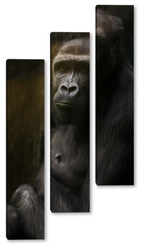 Модульная картина шимпанзе