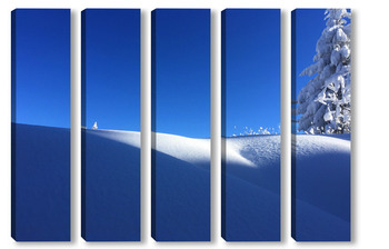  Снежна природа 6 / Snowy nature 6