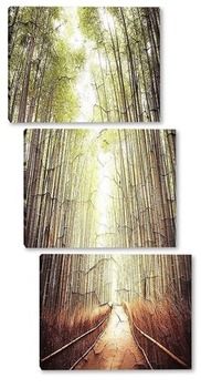 Модульная картина Дорожка через лес