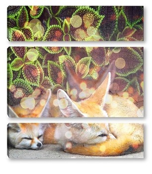Модульная картина Спящие лисички