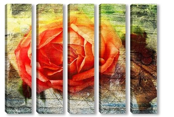 Модульная картина Красочная роза