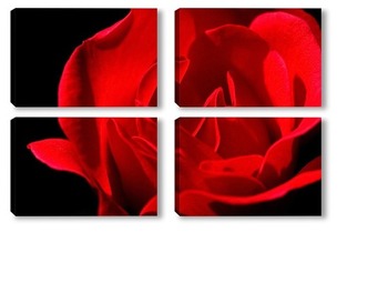  Natural red roses background