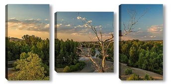 Модульная картина Пейзаж с одиноким сухим деревом