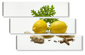 Модульная картина лимон, имбирь, корица, гвоздитка