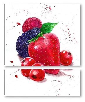  raspberry on white background