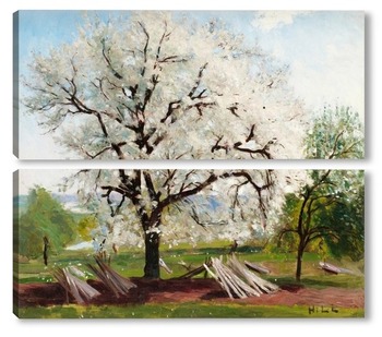 Модульная картина Цветение плодовых деревьев
