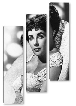  Elizabeth Taylor-15