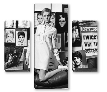 Модульная картина Twiggy