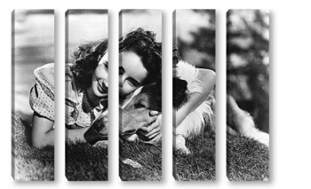 Модульная картина Elizabeth Taylor-14