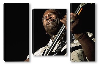 Модульная картина B.B.King