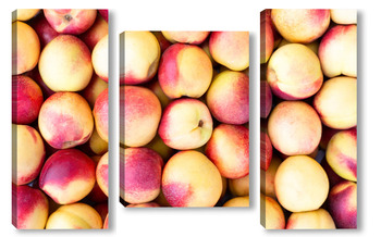 Модульная картина Background of nectarines