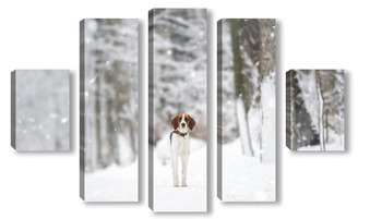 Модульная картина Russian piebald hound. Portrait of a dog with red spots on a background of a winter forest.