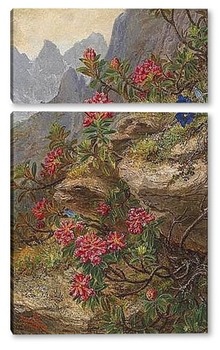 Модульная картина Альпийские цветы