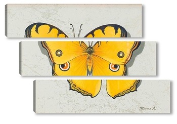 Модульная картина Бабочка