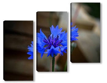  Синий цветочек