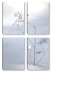 Модульная картина Сухое растение на бело снегу