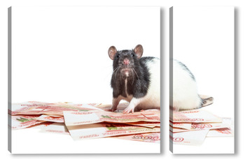Модульная картина Крыса с деньгами.