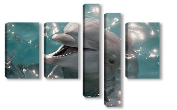 Модульная картина Dolphin115