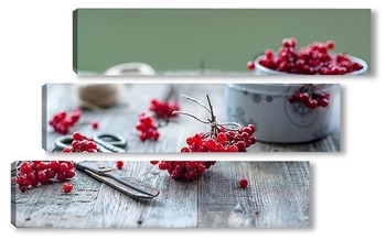  Cherry on a white background