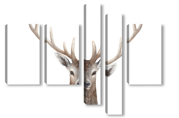  Безмятежность