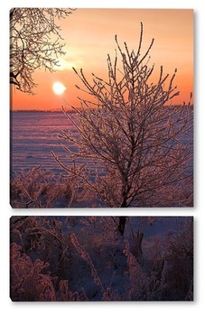  Две сестры