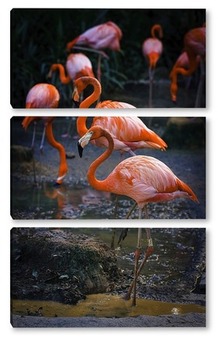 Модульная картина Фламинго на водопое