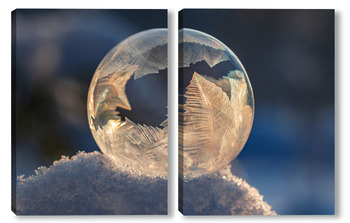 Модульная картина Замёрзший  мыльный пузырь