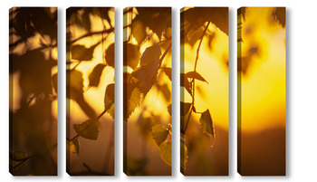 Модульная картина "Лучи закатного солнца купаются в листьях березы".