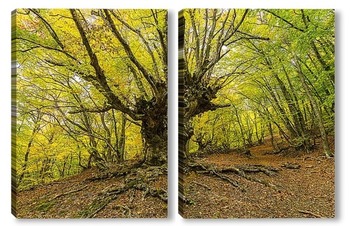 Модульная картина Таинственный лес Демерджи