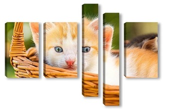 Модульная картина Котёнок в корзинке