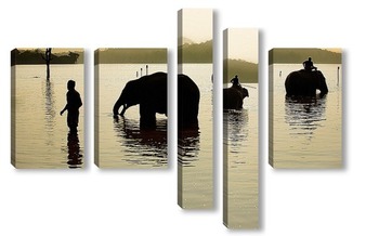 Модульная картина Купание слонов