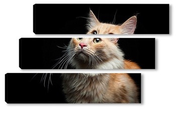 Модульная картина Портрет дворового кота