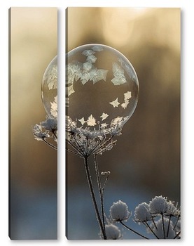  Мыльный пузырь на сухом растении ,покрытом снегом