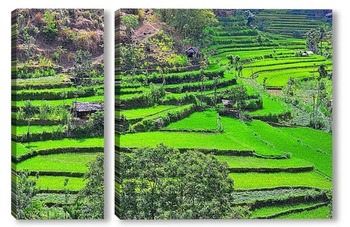 Модульная картина Рисовые террасы на Бали