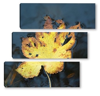 Нежные прозрачные листья с бусинками жемчуга