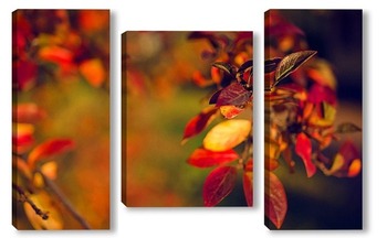 Модульная картина Осенние листья