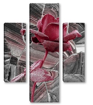 Модульная картина Прекрасная роза