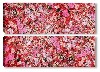 Модульная картина Стена из красных и розовых роз