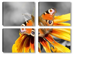 Модульная картина Бабочка на желтом