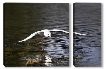 Модульная картина Над водой