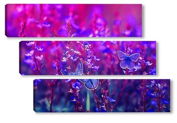 Модульная картина бабочки на летнем лугу 