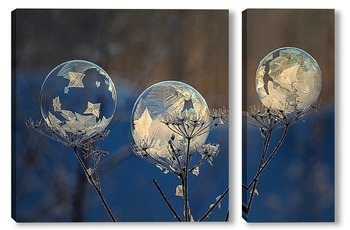 Замёрзший мыльный пузырь на высохшем цветке
