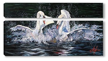  Лебеди на озере на Алтае